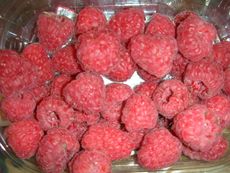 Himbeeren.JPG